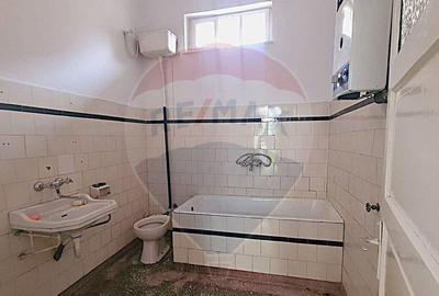 Casa pe un nivel in Medias, teren 533 mp, curte dreapta - 9