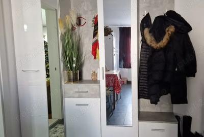 SUPER OFERTA!DECEMBRIE ! Persoana fizica, apartament de vanzare. zona han - 2