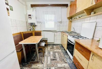Apartament cu 2 camere în George Enescu - 9