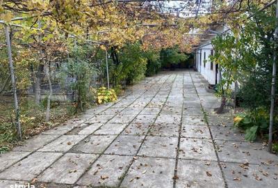 Spațiu comercial, de 400 mp, în Ipotești - 1