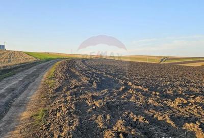 Teren de 30077 mp, în Stroiești - 6