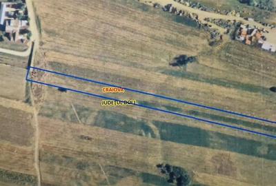 Teren agricol extravilan de 7931 mp, în Cernele - 2