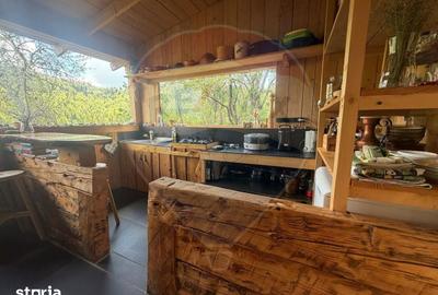 Casă cu Teren 62000 Mp în Horea - 12