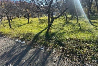 Teren de 3300 mp, în Coșbuc - 1