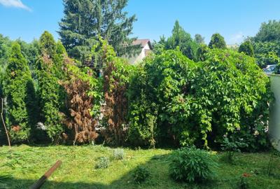 Vila locatie exceptionala P+1+2M - 2