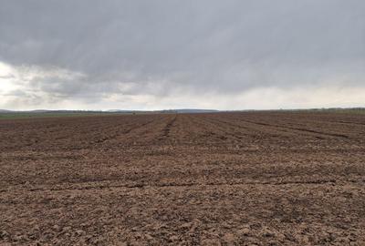 Teren 10,000mp Bacau / Strada Alexandru Safran - 5