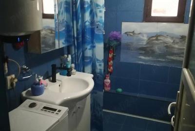Casă cu 4 camere cu Teren 400 Mp în Valea Lupului - 2