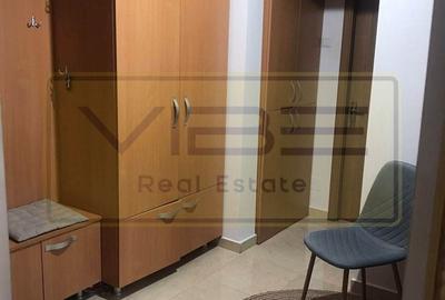 Apartament 2 camere decomandat zona Dacia -Scoala Cosbuc - 12