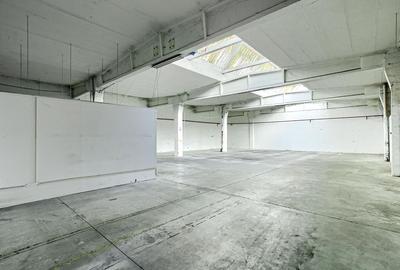 Hală de depozitare si productie 420 mp - 3