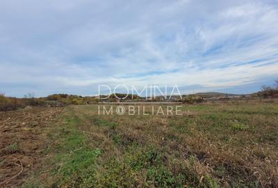 Teren intravilan, 4967 mp, utilita?i, sat Rasova, Bale? - 6