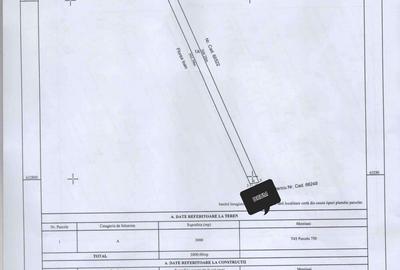 Spațiu comercial, în Dancu - 6