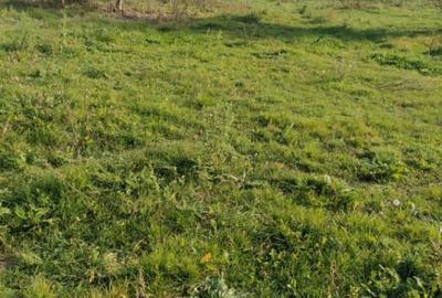 Nicolae Balcescu - Tulcea, teren cu deschidere 27 ml la drum - 2