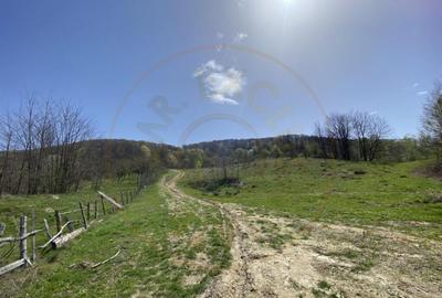 Teren 13.000 mp zona de deal - Aninoasa AG - 1