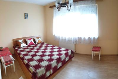 Apartament cu 2 camere semidecomandat în Cedonia - 5