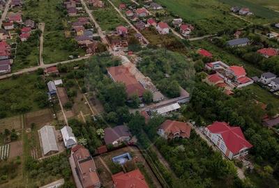 Proprietate specială, de 2,070 mp, în Domnești - 46