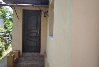 Casă cu 2 camere cu Teren 1530 Mp în Bilciurești - 3