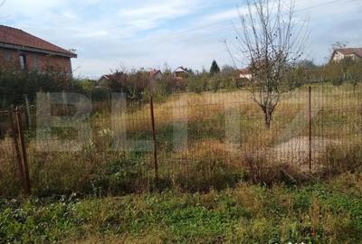 Teren de 4170 mp, în Bercu Roșu - 9