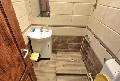 Inchiriere apartament zona ULTIMUL LEU - 4