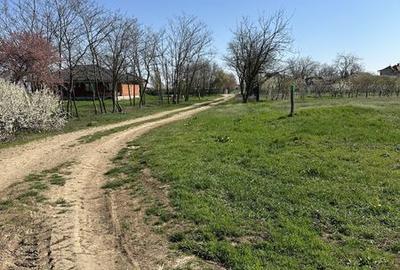 Teren de 3900 mp, în Gepiu - 5