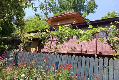 Casă cu Teren 3200 Mp în Grecești - 1