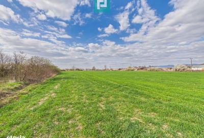 Spațiu comercial, în Gura Văii - 6