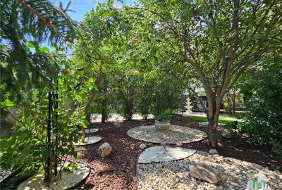 Vila superba, cu piscina, 970mp teren, D+P+E+M, gradina amenajata+pomi fructifer - 12