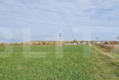 Teren de 1400 mp, în Răzvad - 3