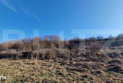 Spațiu comercial, în Florești - 2