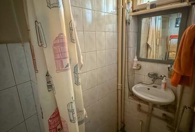 Apartament la Udriste, 200 mp, terasa 40 mp vedere libera - 24