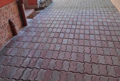 Casă cu 4 camere cu Teren 300 Mp în Central - 2