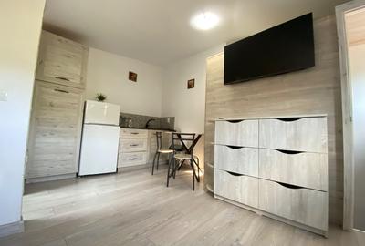 Garsonieră decomandată, mobilată în Podu Roș - 2