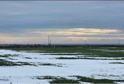 Teren de 20000 mp, în Dragalina - 5