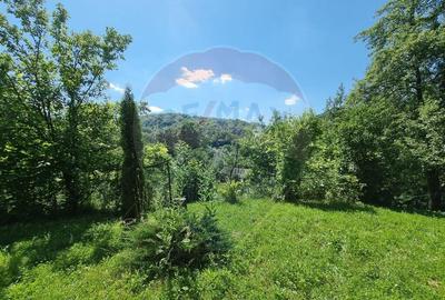 Casa de la marginea padurii! - 2