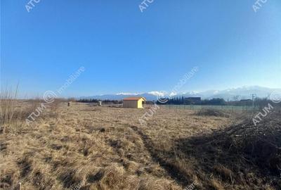 Teren intravilan 3000 mp de pe Valea Avrigului drum asfalta - 2