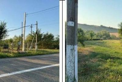 Teren de 2500 mp, în Români - 6