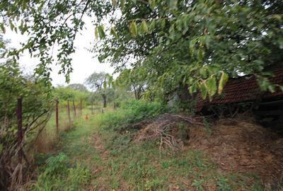 Teren Construcții intravilan de 1900 mp, în Dumbrăvița - 2