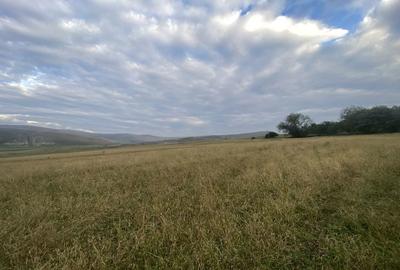 Spațiu comercial, în Cojocna - 2