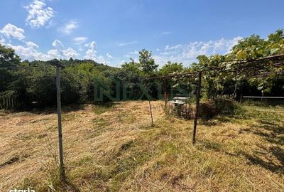Casă cu 2 camere în Hertioana de Jos - 20