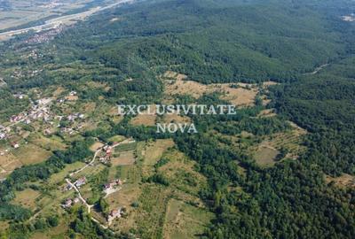 Oaza de natura si oportunitate in Baiculesti  Valea lui Enache, Arges - 8