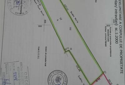 Teren de 27500 mp, în Petrești