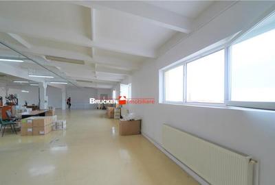 Oportunitate de investitie | Hala Parc Industrial 1 - 26