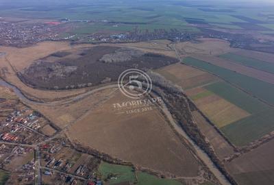 Padure de vanzare - Padurea lui Bolete, Fierbinti-Targ - 5