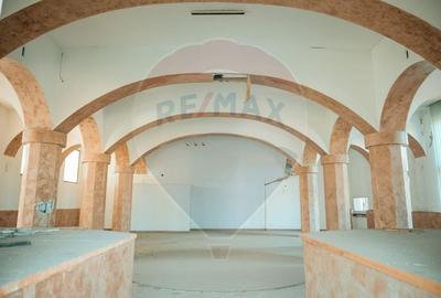 Spațiu industrial, de 1,674 mp, în Săvinești - 8