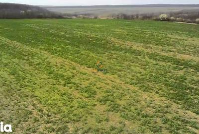 Teren de 182000 mp, în Central