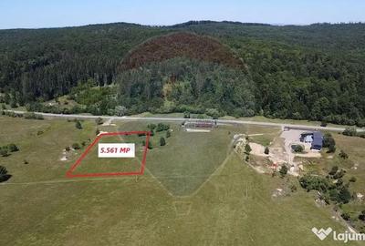 Teren de 5561 mp, în Paltin - 18