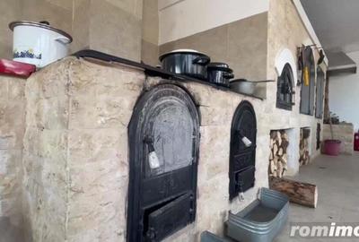 Domeniu situat la poalele Calimanilor - 1