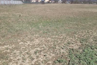 Teren de 5500 mp, în Ruși-Ciutea - 20