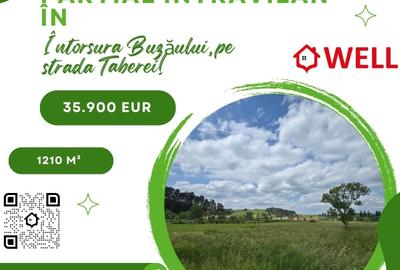 Teren agricol intravilan de 12100000 mp, în Întorsura Buzăului