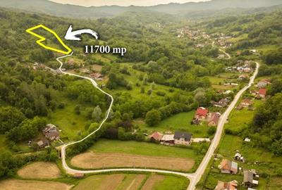 Teren de 11700 mp, în Valea - 5