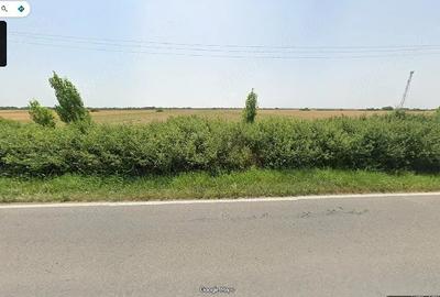 Teren de 10000 mp, în Sânmihaiu Român - 3